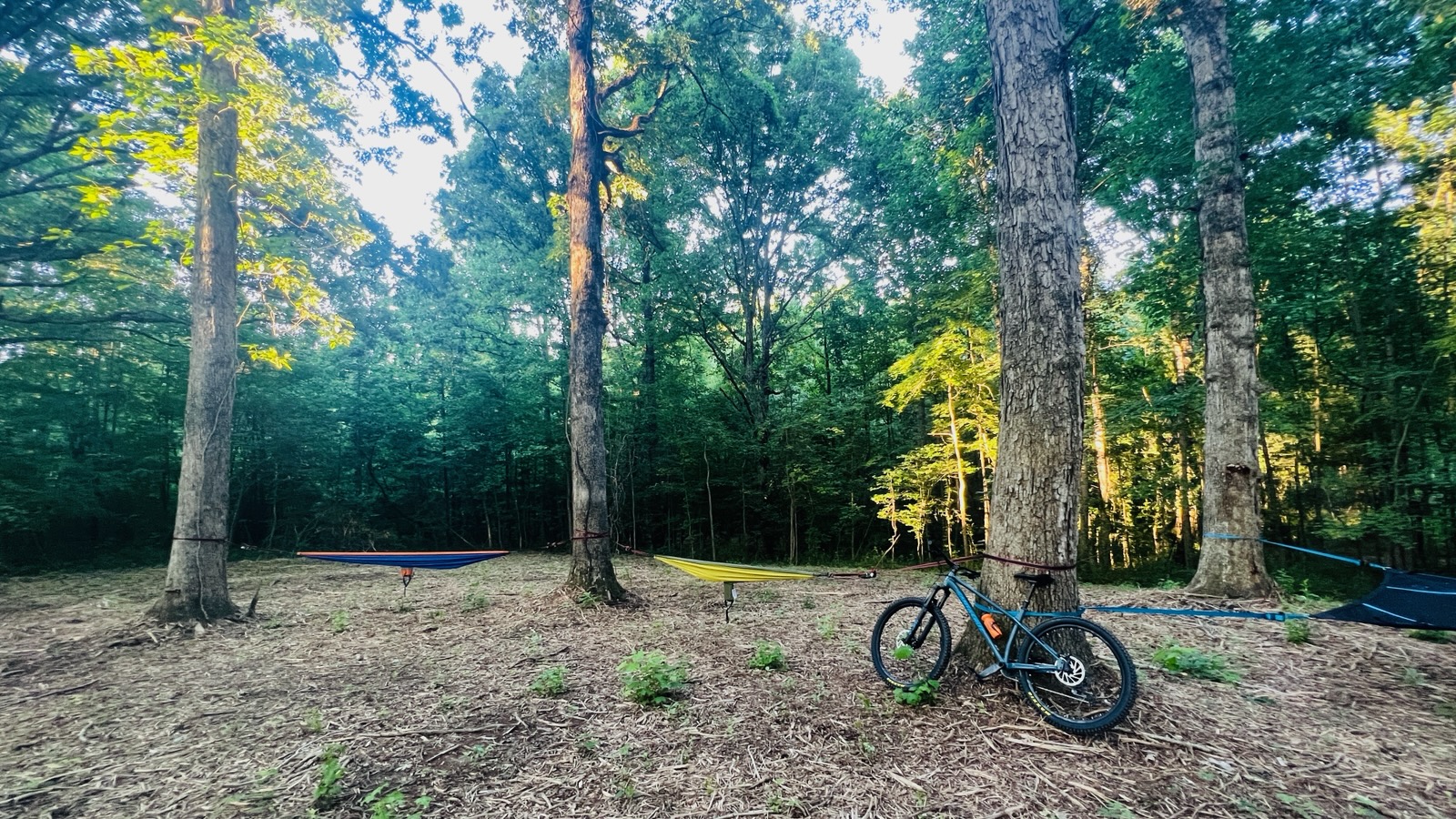 OILER NEWSLETTER – WINTER 2023